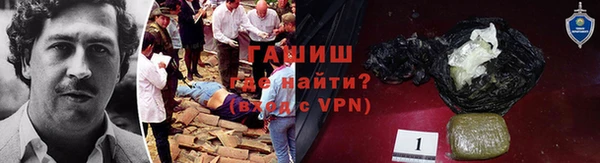 ешки Алексин