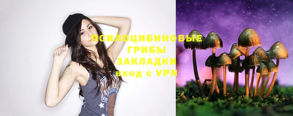 ECSTASY Новодвинск