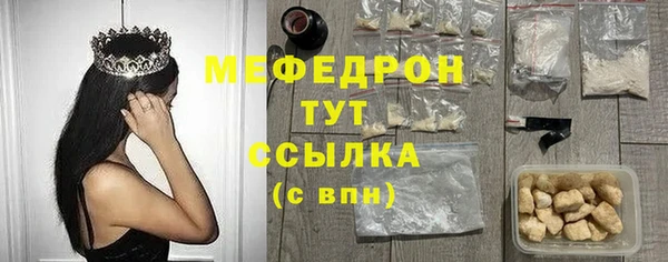 индика Няндома